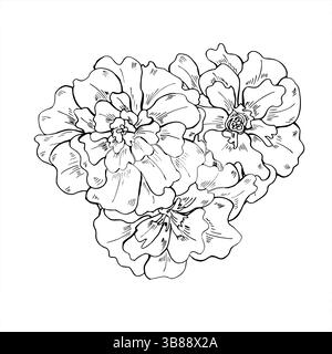 Minimaliste trois têtes de fleurs de souci dans la composition de vue de dessus peinte par des encres noires. Illustration élégante de trio floral pour la papeterie de mariage, organique Illustration de Vecteur