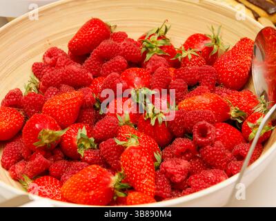 Un bol vibrant de fraises et framboises fraîches, parfait pour une salade de fruits d'été saine et rafraîchissante ou comme dessert naturel. Banque D'Images