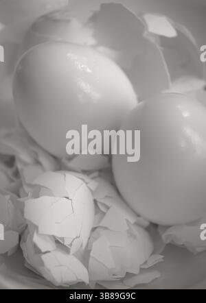 Image verticale en noir et blanc de deux oeufs pelés sur coquilles d'oeufs Banque D'Images
