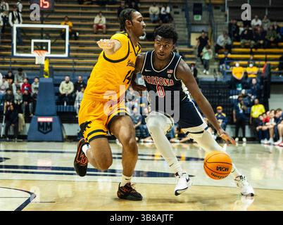 Décembre 29 2023 Berkeley, CA États-Unis Garde de l'Arizona Jaden Bradley (0) se dirige vers le panier lors du match de basket-ball masculin de la NCAA entre les Wildcats de l'Arizona et les Golden Bears de Californie. Arizona a battu California100-81 au Haas Pavilion Berkeley Calif. Thurman James / CSM (crédit image : © Thurman James/CSM via ZUMA Press Wire) Banque D'Images