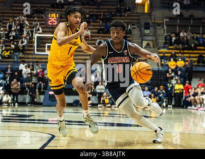 Décembre 29 2023 Berkeley, CA États-Unis Garde de l'Arizona Jaden Bradley (0) se dirige vers le panier lors du match de basket-ball masculin de la NCAA entre les Wildcats de l'Arizona et les Golden Bears de Californie. Arizona a battu California100-81 au Haas Pavilion Berkeley Calif. Thurman James / CSM (crédit image : © Thurman James/CSM via ZUMA Press Wire) Banque D'Images