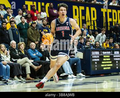 Décembre 29 2023 Berkeley, CA États-Unis L'attaquant de l'Arizona Filip Borovicanin (1) va au panier lors du match de basket-ball masculin de la NCAA entre les Wildcats de l'Arizona et les Golden Bears de Californie. Arizona a battu California100-81 au Haas Pavilion Berkeley Calif. Thurman James / CSM (crédit image : © Thurman James/CSM via ZUMA Press Wire) Banque D'Images