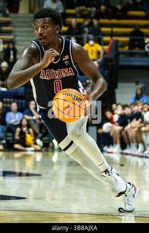 Décembre 29 2023 Berkeley, CA États-Unis le garde de l'Arizona Jaden Bradley (0) va au panier pendant le match de basket-ball masculin de la NCAA entre les Wildcats de l'Arizona et les Golden Bears de Californie. Arizona a battu California100-81 au Haas Pavilion Berkeley Calif. Thurman James / CSM (crédit image : © Thurman James/CSM via ZUMA Press Wire) Banque D'Images