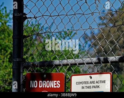 Les coyotes sont actifs dans ce parc et aucun signe de drone à l'entrée du lac Quarry à Fremont, en Californie Banque D'Images