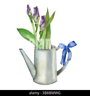 Arrangement floral, fleurs d'iris, bourgeons dans un arrosoir et un arc bleu. Tous les objets sont peints à la main avec des aquarelles. Parfait pour les cartes et Banque D'Images