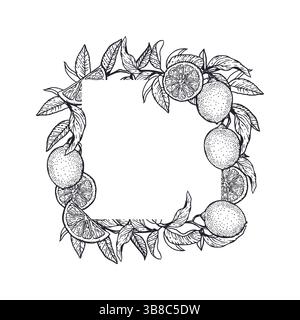Citrons cadre carré dans un style graphique avec encre noire. Fruits et feuilles. Illustration vectorielle dessinée à la main. Pour les étiquettes alimentaires et cosmétiques, confiture, limonade Illustration de Vecteur