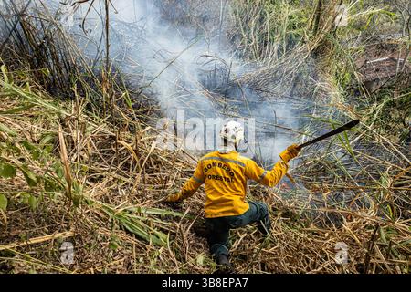 Le 25 mars 2024, Medellin, Antioquia, Colombie : des pompiers et des membres de la communauté aident à éteindre un feu de forêt à Copacabana, au nord de Medellin, Colombie, le 25 mars 2024, près du sanctuaire de 'la Cruz'. (Crédit image : © Juan J. Eraso/LongVisual via ZUMA Press Wire) Banque D'Images