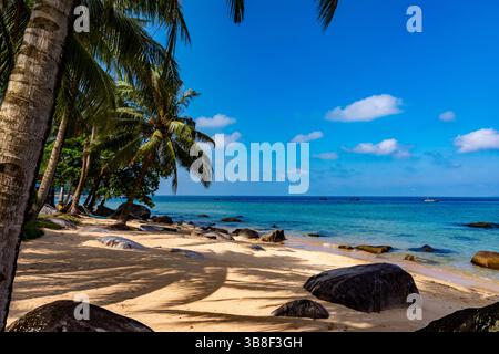 Île tropicale de Pulau Tioman en Malaisie. Mer de Chine méridionale. Asie du Sud-est Banque D'Images