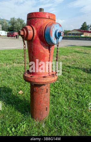 Une bouche d'incendie surélevée est peinte en rouge et bleu dans l'herbe Banque D'Images