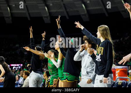29 février 2024 : les joueurs de banc de notre Dame réagissent pour faire trois points de panier lors d'un match de basket-ball féminin de la NCAA entre les Virginia Tech Hokies et les notre Dame Fighting Irish au Purcell Pavilion au Joyce Center à South Bend, Indiana. John Mersits/CSM. (Crédit image : © John Mersits/CSM via ZUMA Press Wire) Banque D'Images
