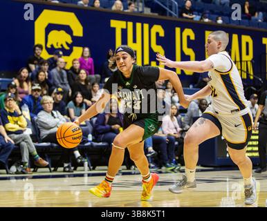 21 mars 2023 Berkeley, CA États-Unis HawaiÃ¢â‚¬â„¢je garde MeiLani McBee (23) va au panier lors du match de basket-ball féminin de premier tour de la NCAA WBIT entre les Wahine Rainbow d'Hawaï et les Golden Bears de Californie. La Californie a battu Hawaii 65-60 at.Haas Pavilion Berkeley Calif. Thurman James / CSM (crédit image : © Thurman James/CSM via ZUMA Press Wire) Banque D'Images
