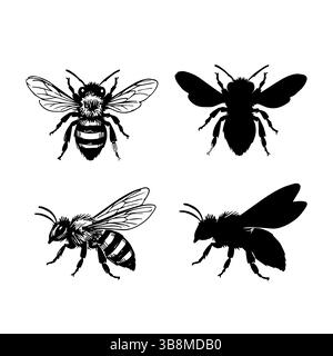 Illustrations dessinées à la main d'une abeille, détail vectoriel clip art isolé sur fond blanc. Illustration de Vecteur