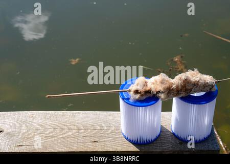 Photo conceptuelle pour la propreté de l'eau dans les systèmes naturels et fabriqués par l'homme. Queue séchée sur le dessus des cartouches filtrantes de rechange pour piscine. Banque D'Images