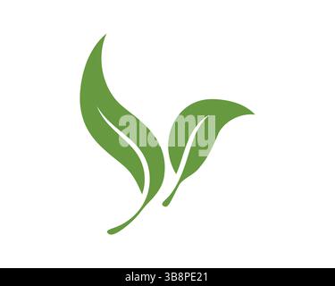 Deux feuilles vertes simples et élégantes isolées sur blanc. Représente la nature, la croissance, la santé et la durabilité. Idéal pour les entreprises éco-responsables ou bio Illustration de Vecteur