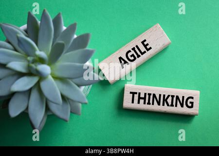 Symbole de pensée agile. Blocs en bois avec des mots Agile Thinking. Beau fond vert avec plante succulente. Concept Business et Agile Thinking. Banque D'Images