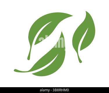 Trois feuilles vertes simples et stylisées sur fond blanc. Représente la nature, la croissance, la santé et la conscience environnementale. Idéal pour le produ écologique Illustration de Vecteur