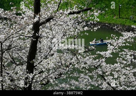 Les gens sur une promenade en bateau pour l'observation des cerisiers en fleurs sur les douves de Chidorigafuchi à Tokyo, Japon. Banque D'Images