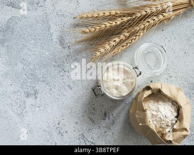 Démarreur de levain de blé. Vue de dessus des ingrédients de fabrication du pain - bocal en verre avec le démarreur de levain, la farine dans le sac de papier et les oreilles sur le backgro de ciment gris Banque D'Images