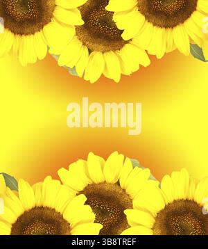 Le tournesol avec des feuilles vertes sur fond dégradé Banque D'Images