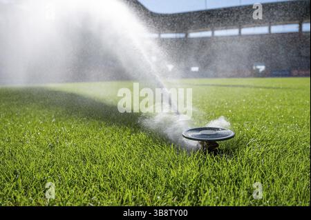 Arrosage d'herbe sur un stade de football à Lubin, Pologne, Europe Banque D'Images