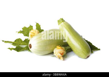 Fresh Vegetable marrow avec fleurs et feuilles isolées sur fond blanc Banque D'Images