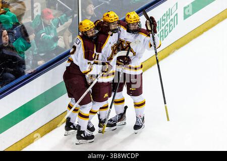 17 février 2024 : les joueurs du Minnesota célèbrent le but de l'attaquant du Minnesota Jimmy Snuggerud (81) lors d'un match de hockey de la NCAA entre les Golden Gophers du Minnesota et les Fighting Irish de notre Dame au Compton Family Ice Arena à South Bend, Indiana. John Mersits/CSM. (Crédit image : © John Mersits/CSM via ZUMA Press Wire) Banque D'Images