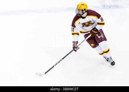 17 février 2024 : L'attaquant du Minnesota Jimmy Snuggerud (81 ans) patine avec la rondelle lors d'un match de hockey de la NCAA entre les Golden Gophers du Minnesota et les Fighting Irish de notre Dame au Compton Family Ice Arena à South Bend, Indiana. John Mersits/CSM. (Crédit image : © John Mersits/CSM via ZUMA Press Wire) Banque D'Images