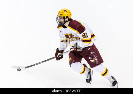 17 février 2024 : L'attaquant du Minnesota Jimmy Snuggerud (81 ans) patine avec la rondelle lors d'un match de hockey de la NCAA entre les Golden Gophers du Minnesota et les Fighting Irish de notre Dame au Compton Family Ice Arena à South Bend, Indiana. John Mersits/CSM. (Crédit image : © John Mersits/CSM via ZUMA Press Wire) Banque D'Images