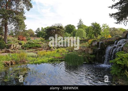 Rock Garden, Royal Botanic Gardens, Kew, London Borough of Richmond upon Thames, Londres, Angleterre, Grande-Bretagne, Royaume-Uni, Royaume-Uni, Europe Banque D'Images