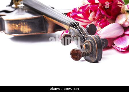 Ancien violon noir avec bouquet de tulipes roses sur blanc - concert concept Banque D'Images