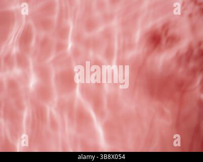 Texture de l'eau ondulée sur fond rose avec ombres du feuillage. Ombre de l'eau sur la lumière du soleil. Maquette pour fond de produit, spa ou cosmétique. Rose marbre Banque D'Images