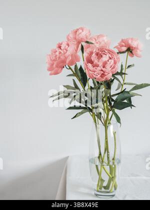 Rose magnifique bouquet pivoine corail vivant en vase en verre sur table avec nappe en lin blanc. La verticale. L'espace de copie pour le texte. Filtre couleur Banque D'Images