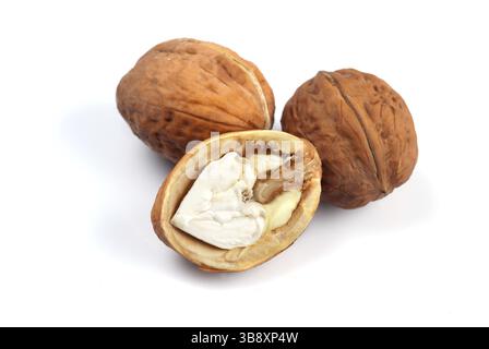 Noix et partie de noix fraîche isolée sur fond blanc Banque D'Images
