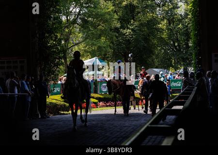 10 juin 2023, Elmont, New York, États-Unis : les chevaux quittent le ring pour la première course le Belmont Stakes Day au Belmont Park le 10 juin 2023 à Elmont, New York. Evers/Eclipse Sportswire/CSM (crédit image : © Evers/CSM via ZUMA Press Wire) Banque D'Images
