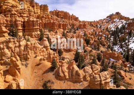 Une antenne de la forêt nationale de Dixie dans l'Utah. Photographié d'un point de vue élevé à l'aide d'un drone. Neige dispersée parmi les pins et la roche rouge h Banque D'Images
