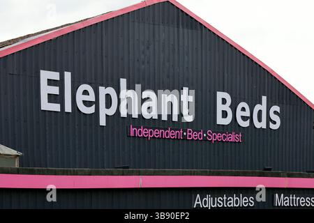 Devant du magasin Elephant Beds, Cardiff, pays de Galles du Sud. Prise 2025 printemps Banque D'Images