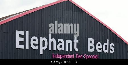 Devant du magasin Elephant Beds, Cardiff, pays de Galles du Sud. Prise 2025 printemps Banque D'Images