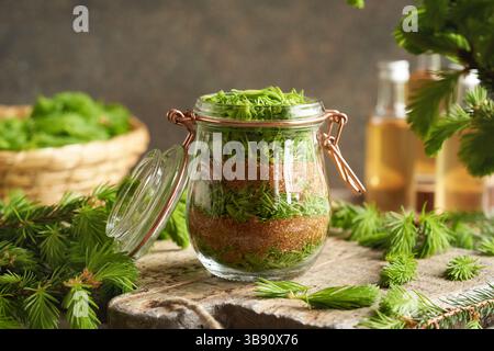 Préparation de sirop à base de plantes maison à partir de jeunes pointes d'épinette crues collectées dans le printemps et le sucre de canne Banque D'Images