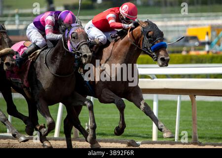 8 avril 2023, Arcadia, CA, USA : Move pratique (5) monté par Ramon Vazquez remporte le Runhappy Santa Anita Derby (Grade 1) le 8 avril 2023 au Santa Anita Park à Arcadia, CA. Casey Phillips/Eclipse Sportswire/CSM (crédit image : © Casey Phillips/CSM via ZUMA Press Wire) Banque D'Images