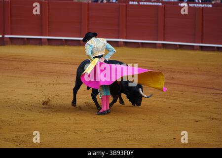 Feria Sevilla Bullfight 2025. La tauromachie a lieu pendant la Feria de Abril, Banque D'Images