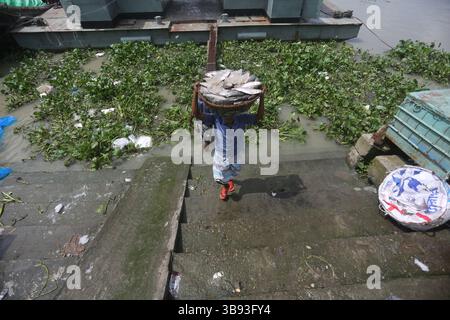 22 août 2023, Chandpur, Chandpur, Bangladesh : les travailleurs apportent du poisson au marché aux poissons de Chandpur, le plus grand marché de gros de poisson Hilsha au Bangladesh. Les Hilshas sont capturés dans la rivière Meghna. Connu localement sous le nom d'Ilish, le poisson a été désigné comme le poisson national du Bangladesh. Hilsa, toujours une délicatesse spéciale dans un ménage bengali est préparé de différentes manières. (Crédit image : © Habibur Rahman/ZUMA Press Wire) Banque D'Images