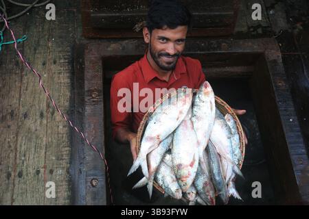 22 août 2023, Chandpur, Chandpur, Bangladesh : les travailleurs apportent du poisson au marché aux poissons de Chandpur, le plus grand marché de gros de poisson Hilsha au Bangladesh. Les Hilshas sont capturés dans la rivière Meghna. Connu localement sous le nom d'Ilish, le poisson a été désigné comme le poisson national du Bangladesh. Hilsa, toujours une délicatesse spéciale dans un ménage bengali est préparé de différentes manières. (Crédit image : © Habibur Rahman/ZUMA Press Wire) Banque D'Images