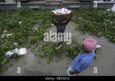 22 août 2023, Chandpur, Chandpur, Bangladesh : les travailleurs apportent du poisson au marché aux poissons de Chandpur, le plus grand marché de gros de poisson Hilsha au Bangladesh. Les Hilshas sont capturés dans la rivière Meghna. Connu localement sous le nom d'Ilish, le poisson a été désigné comme le poisson national du Bangladesh. Hilsa, toujours une délicatesse spéciale dans un ménage bengali est préparé de différentes manières. (Crédit image : © Habibur Rahman/ZUMA Press Wire) Banque D'Images