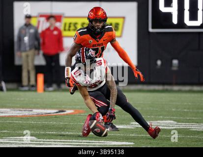 29 septembre 2023 : Connor O'Toole (81 ans), l'équipe défensive de l'Utah Utes, manque un ballon lancé bas lors du match de football NCAA entre les Utes de l'Utah et les Beavers de l'État de l'Oregon au Reser Stadium, Corvallis, OREGON. Larry C. Lawson/CSM (crédit image : © Larry C. Lawson/CSM via ZUMA Press Wire) Banque D'Images