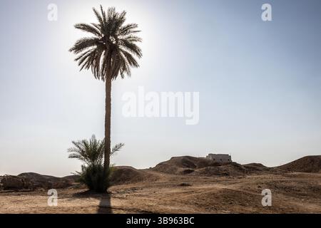 27 octobre 2021, Babylone, Babylone, Irak : une oasis près de Babylone. Au premier millénaire av. J.-C., Babylone était la plus grande ville de Mésopotamie, ses ruines s'étendant sur 1000 hectares. Capitale religieuse et politique de Babylone, elle abrite le palais royal et le complexe culte dédié à Marduk, divinité poliade de Babylone et chef du panthéon. (Crédit image : © Sadak Souici/ZUMA Press Wire) Banque D'Images