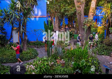 Les jardins du musée Frida Kahlo appelé la Casa Azul dans le quartier Coyoacan de Mexico, Mexique Banque D'Images
