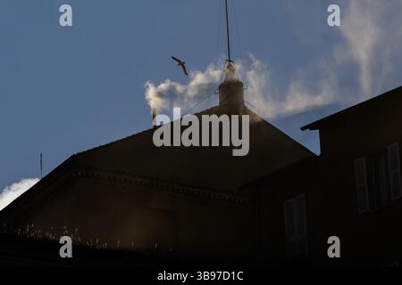 Cité du Vatican, Italie. 08 mai 2025. De la fumée blanche s'élève de la cheminée de la Chapelle Sixtine le soir du deuxième jour du conclave pour élire un nouveau pape au Vatican le 8 mai 2025. Crédit : Insidefoto/Alamy Live News Banque D'Images