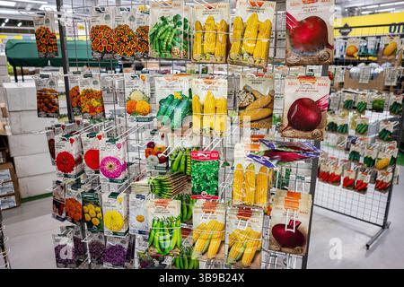 Ivano-Frankivsk, Ukraine - 29 avril 2025 : présentoir avec une variété de graines pour plantes, fleurs et légumes. Banque D'Images
