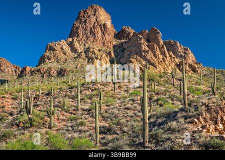 Falaises dans les montagnes Mazatzal, au-dessus de Apache Trail, Lewis et Pranty Creek région, Tonto National Forest, Arizona, États-Unis Banque D'Images