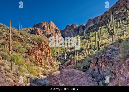 Falaises dans les montagnes Mazatzal, sur Apache Trail, région de Fish Creek Hill, forêt nationale de Tonto, Arizona, États-Unis Banque D'Images